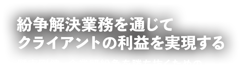 紛争解決業務を通じてクライアントの利益を実現する　MASSは、企業間の紛争を戦略的にサポートする新世代の法律事務所です